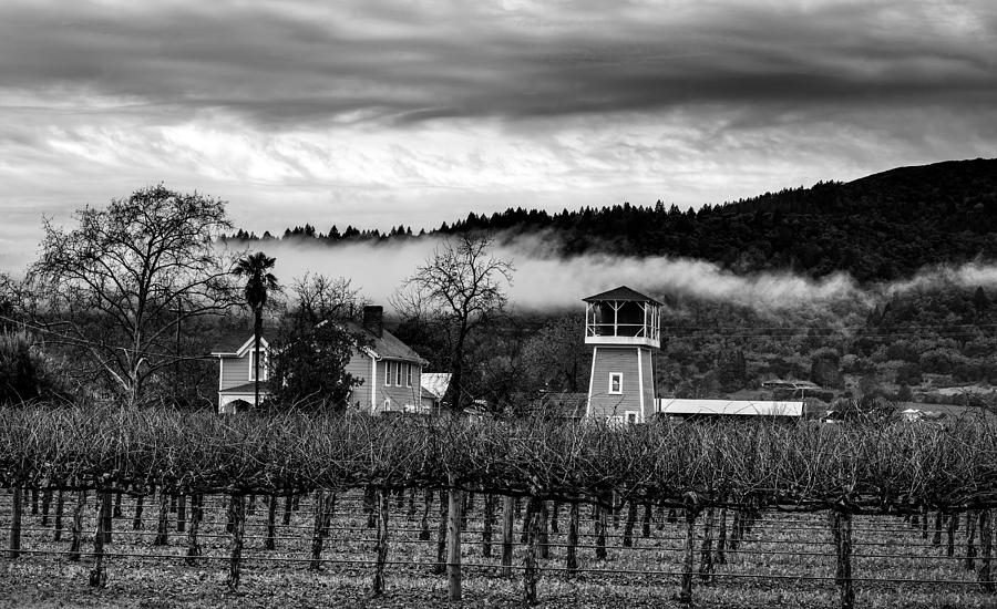 Napa Valley Vineyard On A Cloudy Day #2 Photograph by Mountain Dreams