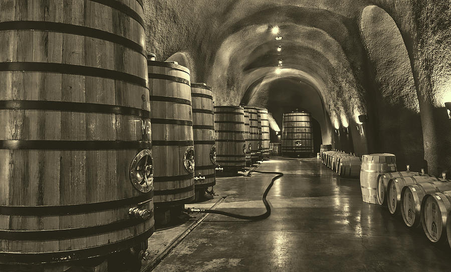 Napa Valley Wine Cellar #2 Photograph by Mountain Dreams
