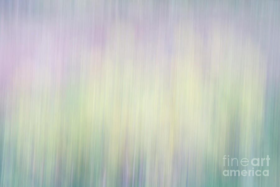 Nature Motion Blur Abstract #2 Photograph by Marek Uliasz