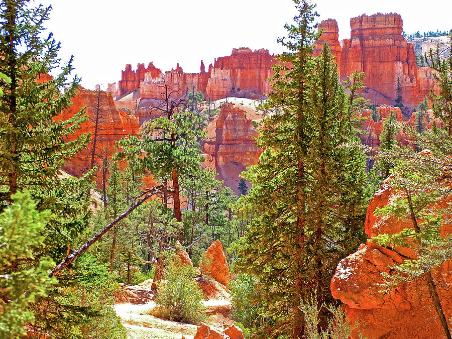 Navajo Trail in Bryce Canyon National Park, Utah #2 Photograph by Ruth Hager