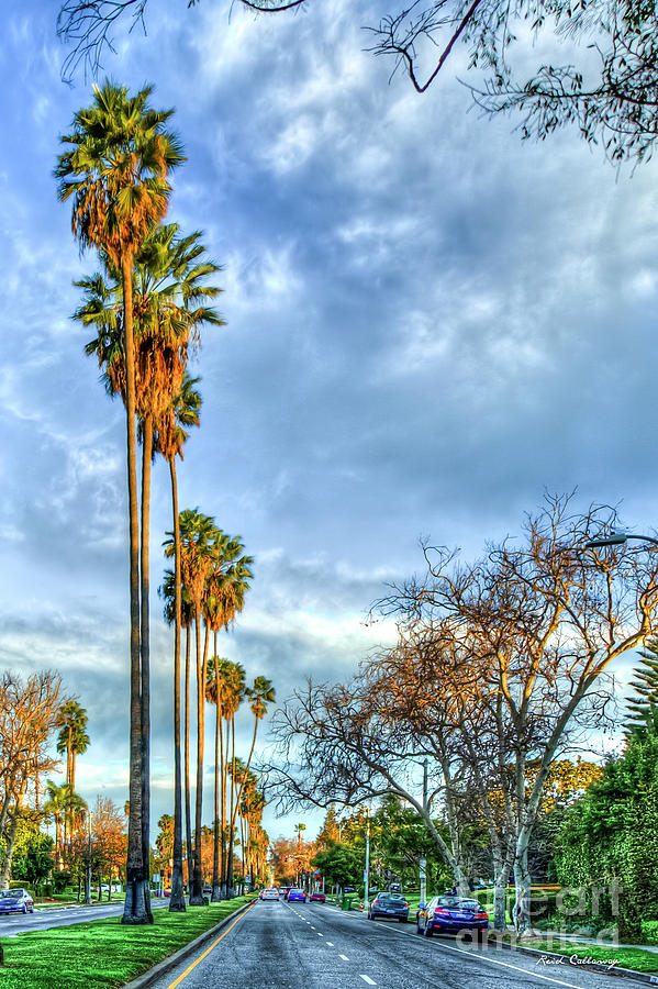 Too Tall Palms Hollywood Street Scene Los Angeles California Art Photograph by Reid Callaway