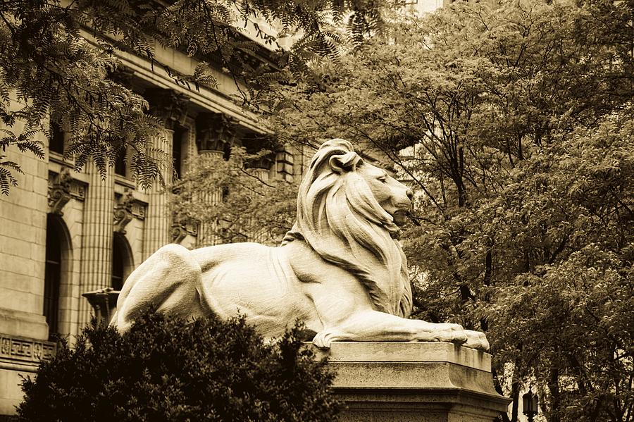 New York City Photograph - New York City Library Lion #2 by Mountain Dreams