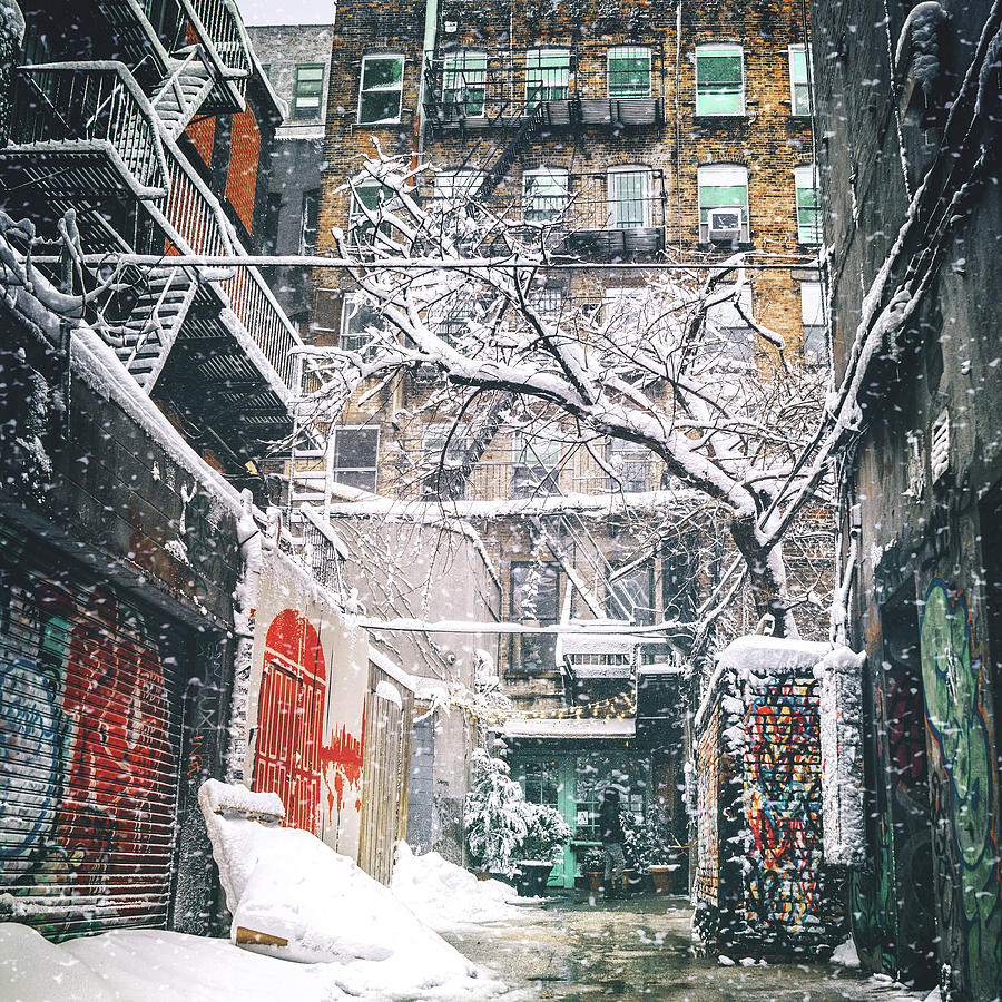 New York City snow #2 Photograph by Vivienne Gucwa