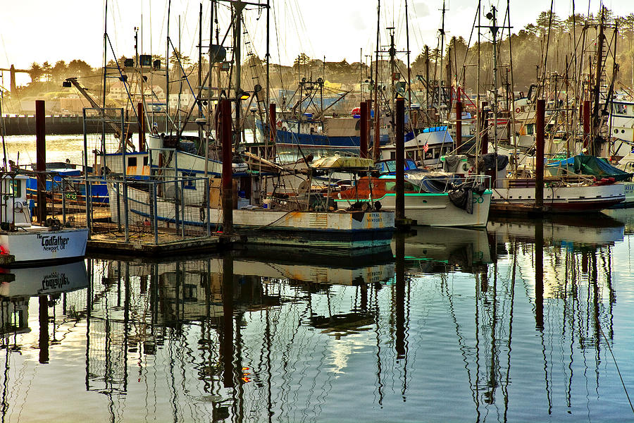 Newport Marina #2 Photograph by Diana Powell