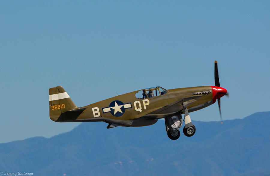 North American P-51C Mustang Photograph by Tommy Anderson