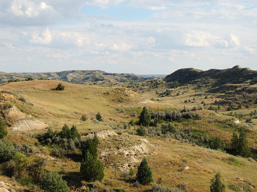 North Dakota Landscape Study #3 Photograph by Andrew Chambers