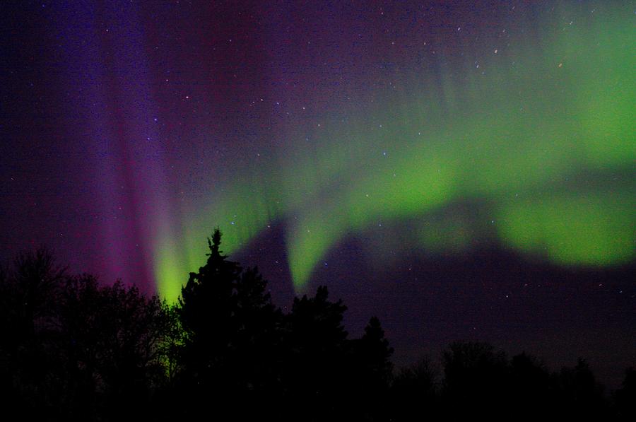 Northern Lights #2 Photograph by David Matthews