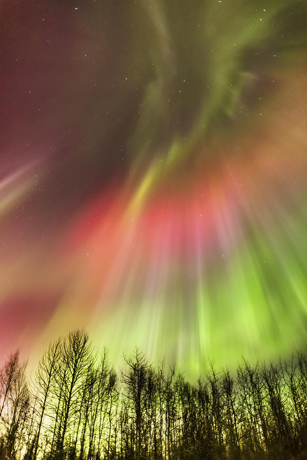 Northern Lights In The Sky Photograph by Kevin Smith