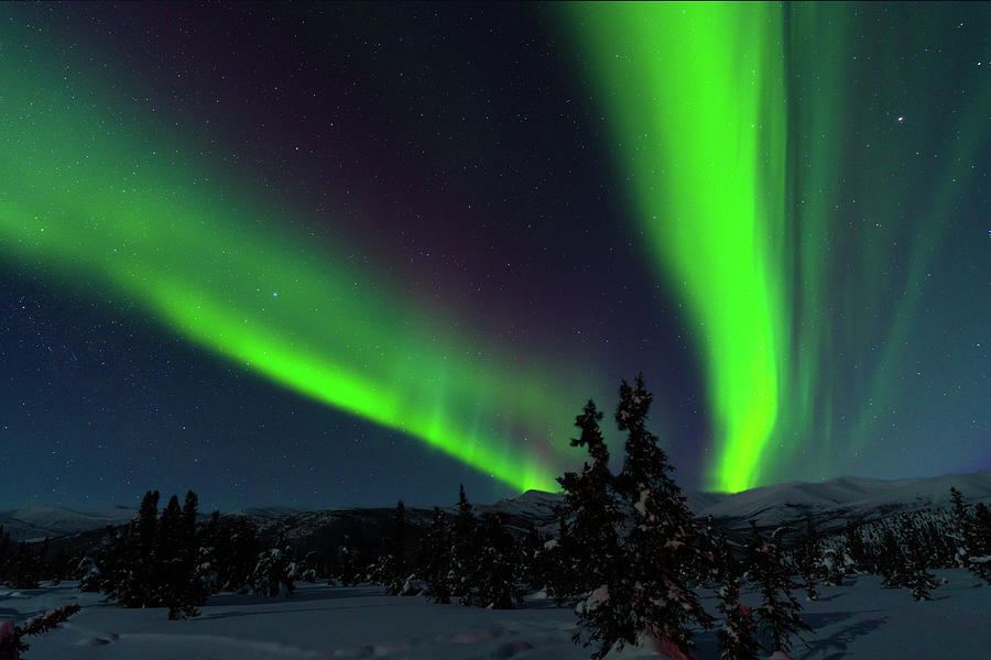 Northern lights on top of a snow covered mountain, Fairbanks, Alaska. #2 Photograph by Asif Islam