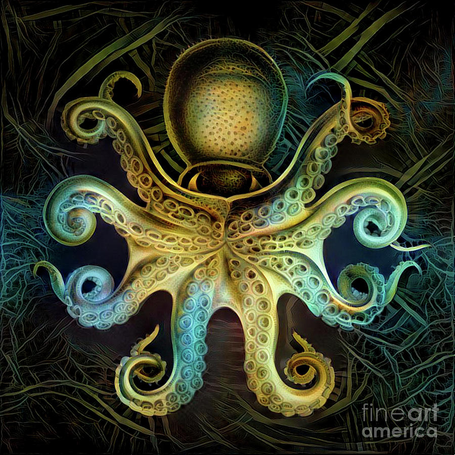 Nature Digital Art - Octopus #2 by Amy Cicconi