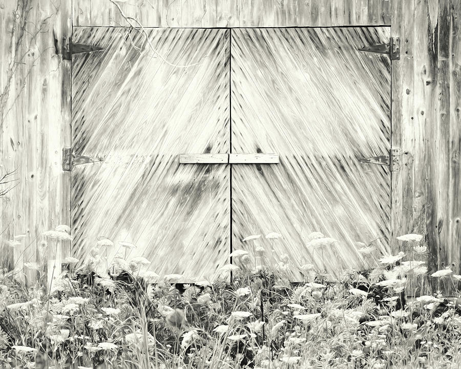 Old Barn Doors #2 Photograph by Lori Deiter