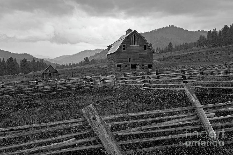 Old Barn in Field #2 Photograph by Jim Corwin
