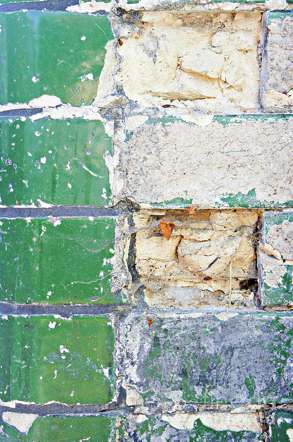 Old brick wall #2 Photograph by Tom Gowanlock