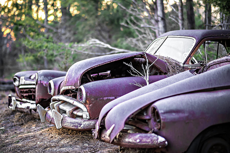 Old Rusty Abandoned Automobile In The Woods #2 Photograph by Alex Grichenko