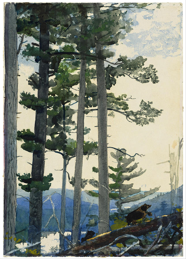 Old Settlers Painting by Winslow Homer