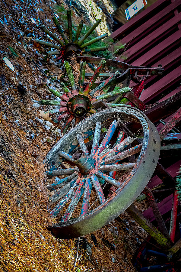 Old Wagon Wheels Photograph by Michael Brooks | Fine Art America