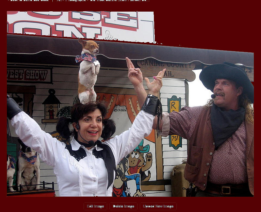 Old West Canine Show Patriotic Dog Pinal County Fair Eleven Mile Corner Arizona 2005 Photograph