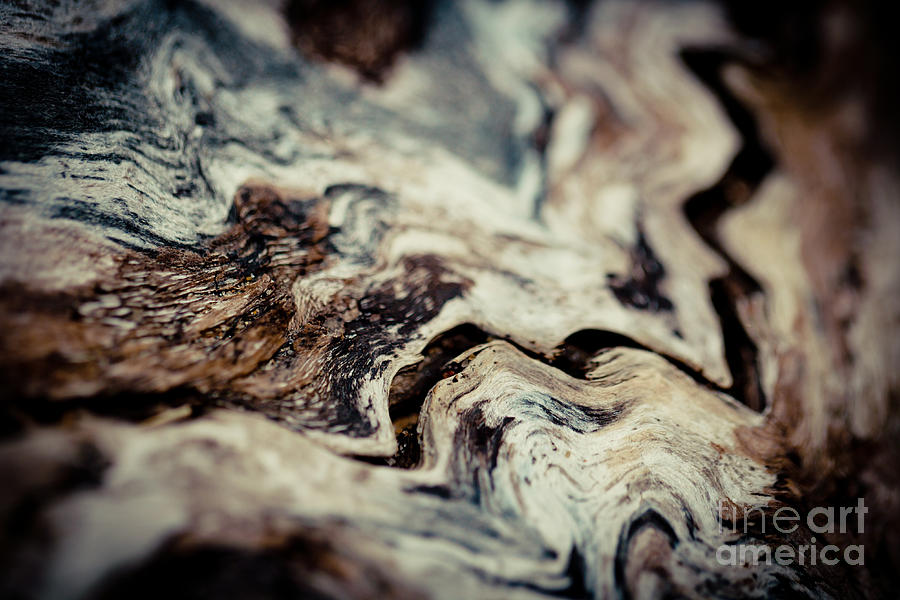 Old Wood Abstract Vintage texture Fotografika.lv #2 Photograph by Raimond Klavins