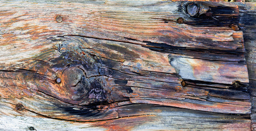 Abstract Photograph - Old wood #2 by Tom Gowanlock
