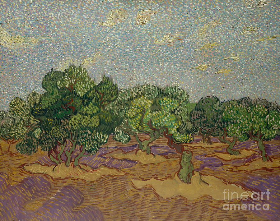 Vincent Van Gogh Painting - Olive Trees, 1889 by Vincent Van Gogh