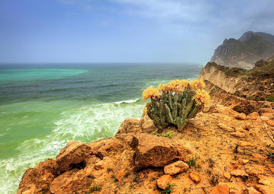 Salalah coast Photograph by Alexey Stiop