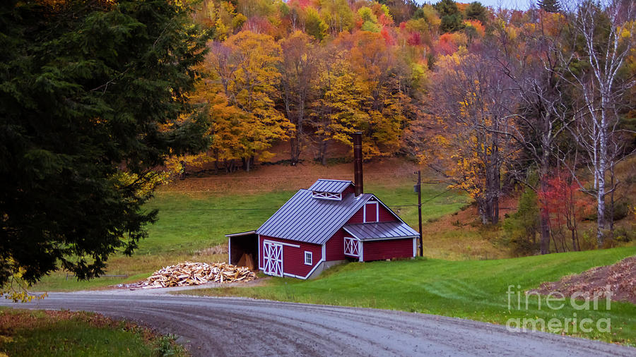 On the back roads of Reading Vermont #3 Photograph by Scenic Vermont Photography