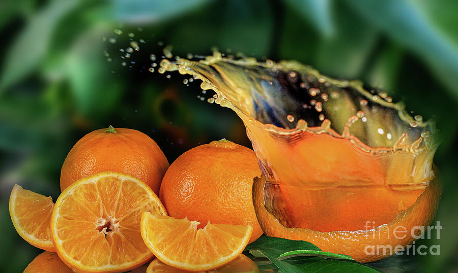 Orange Splash #2 Photograph by Shirley Mangini