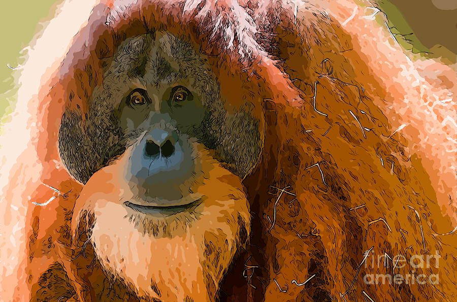 Orangutan #2 Photograph by Andrew Michael