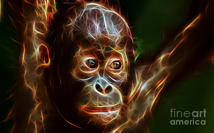 Orangutan Mixed Media - Orangutan Collection #2 by Marvin Blaine
