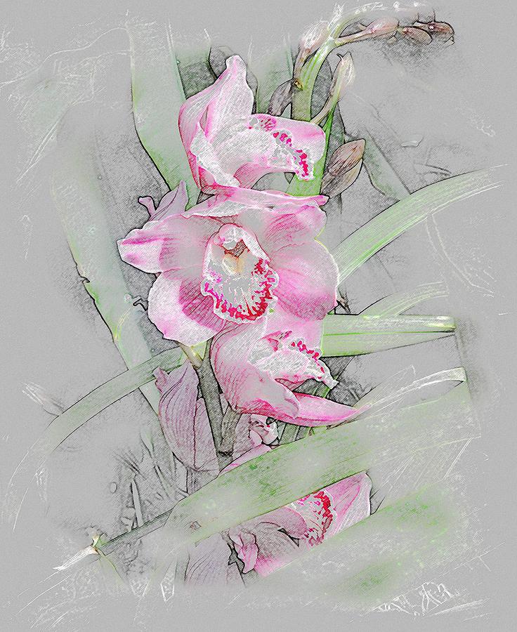 Orchidaceae #2 Painting by Don Wright