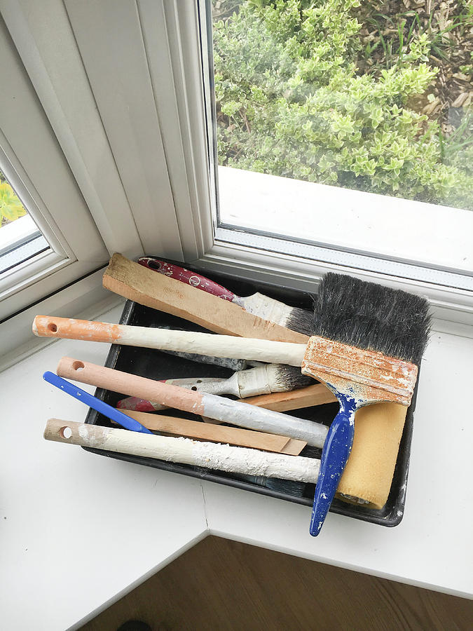 Brush Photograph - Paint brushes #2 by Tom Gowanlock