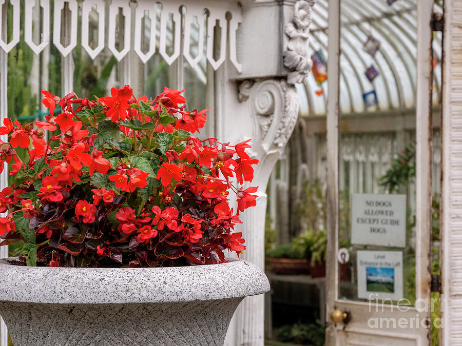 Palm House #2 Photograph by Jim Orr Palm House #2 Photograph by Jim Orr