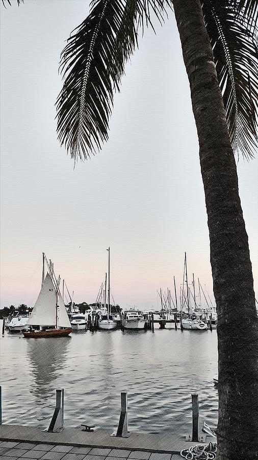 Boat Photograph - Palm Shade by JAMART Photography