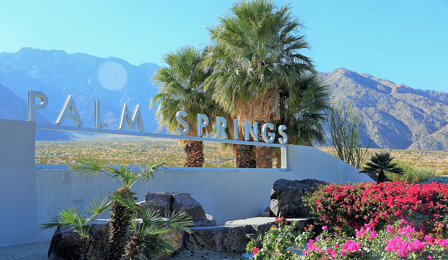 Palm Springs Welcome #2 Photograph by Lisa Dunn