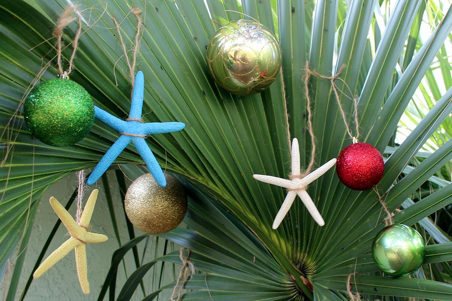 Palm Tree Christmas #2 Photograph by Robert Wilder Jr