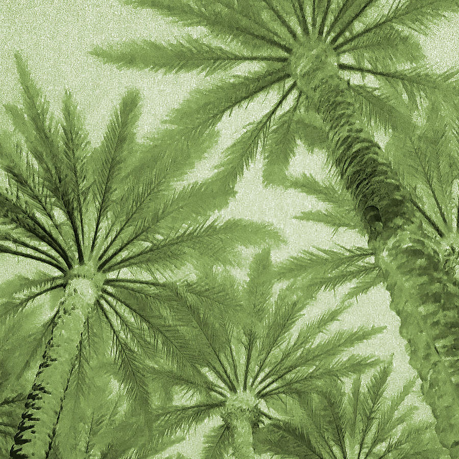 Palm Trees On My Mind #1 Digital Art by Stephanie Agliano