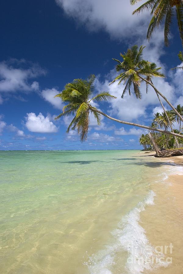 Paradise Photograph - Palms On The Beach #2 by Tomas del Amo - Printscapes