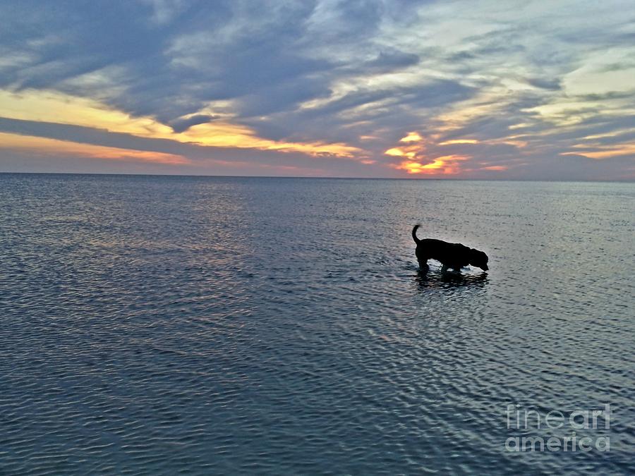 Pamlico Sound at Haulover Photograph by Ben Schumin - Fine Art America