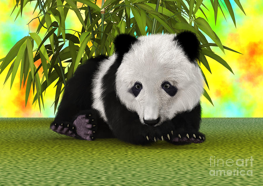 Wildlife Digital Art - Panda Bear Cub #2 by Design Windmill