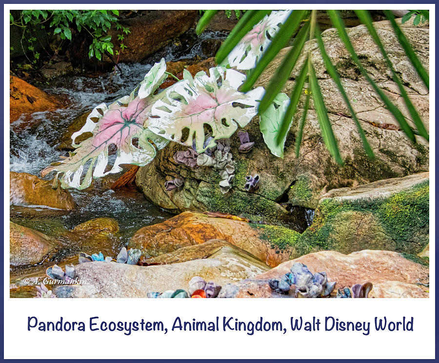 Pandora Ecosystem, Animal Kingdom, Walt Disney World #2 Photograph by A Macarthur Gurmankin