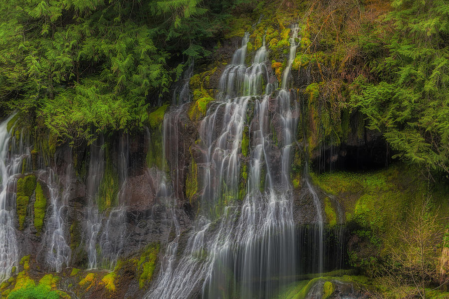 Panther Creek Falls #2 Photograph by David Gn