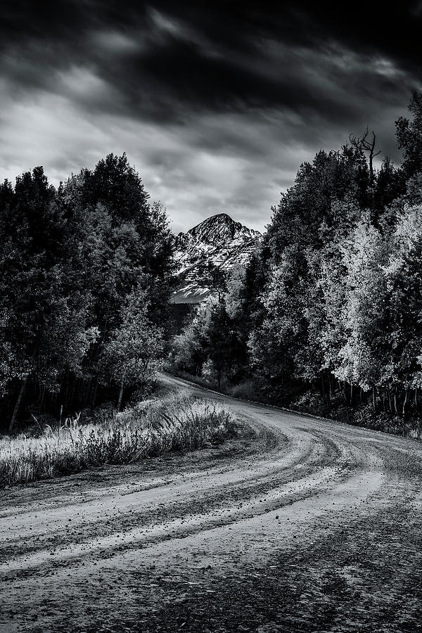 Path To The Mountains Photograph