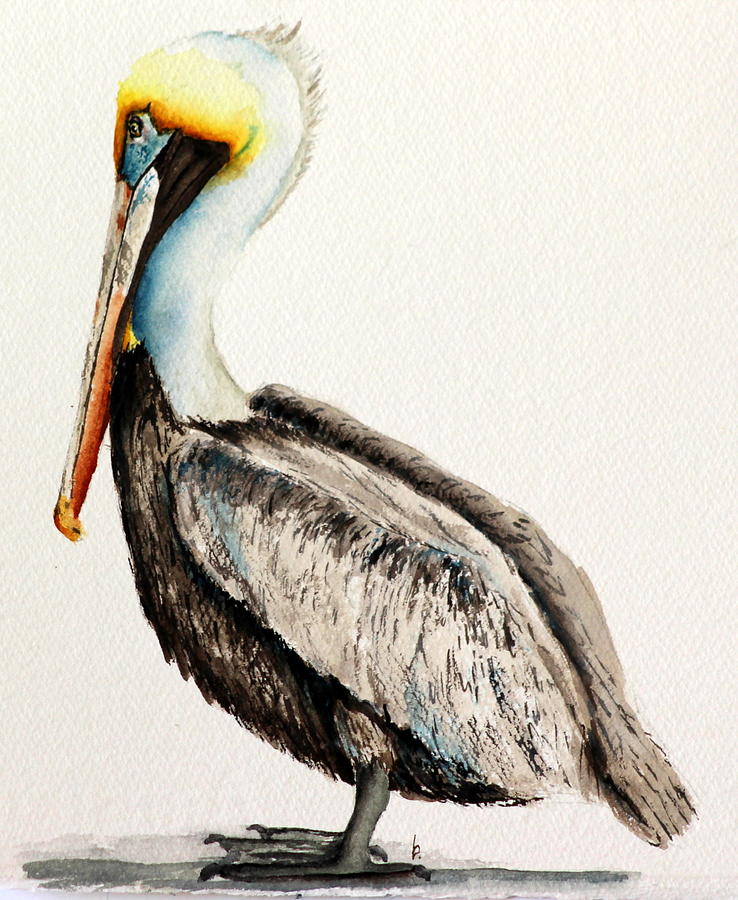 Pelican Painting by Betty Moore - Fine Art America