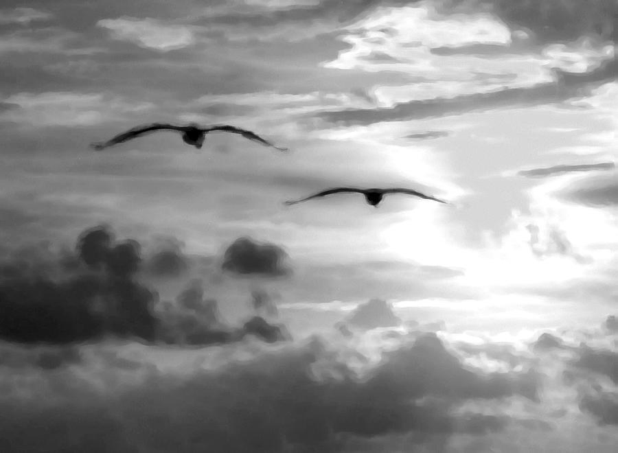 2 Pelicans flying into the Clouds Digital Art by Michael Thomas