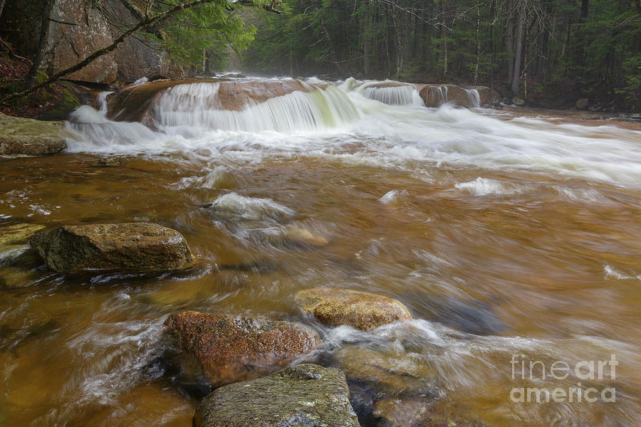 Pemigewasset River - Franconia Notch State Park New Hampshire #2 Photograph by Erin Paul Donovan