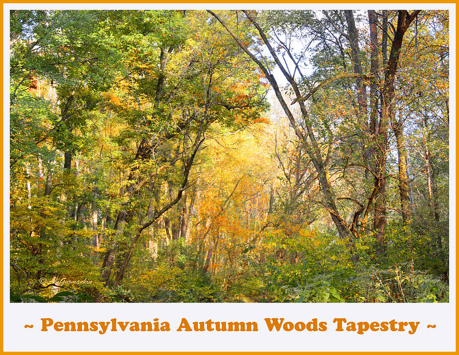 Pennsylvania Fall Tapestry Photograph by A Macarthur Gurmankin - Pixels