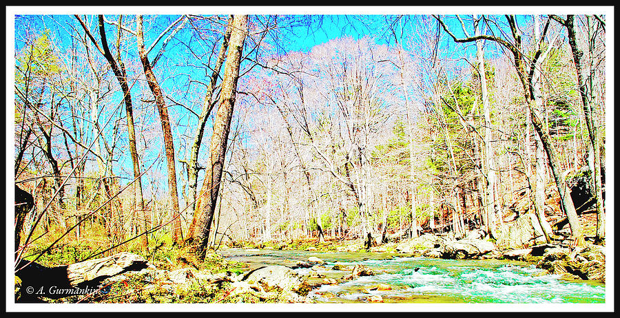 Pennsylvania Stream in Early Spring #2 Photograph by A Macarthur Gurmankin