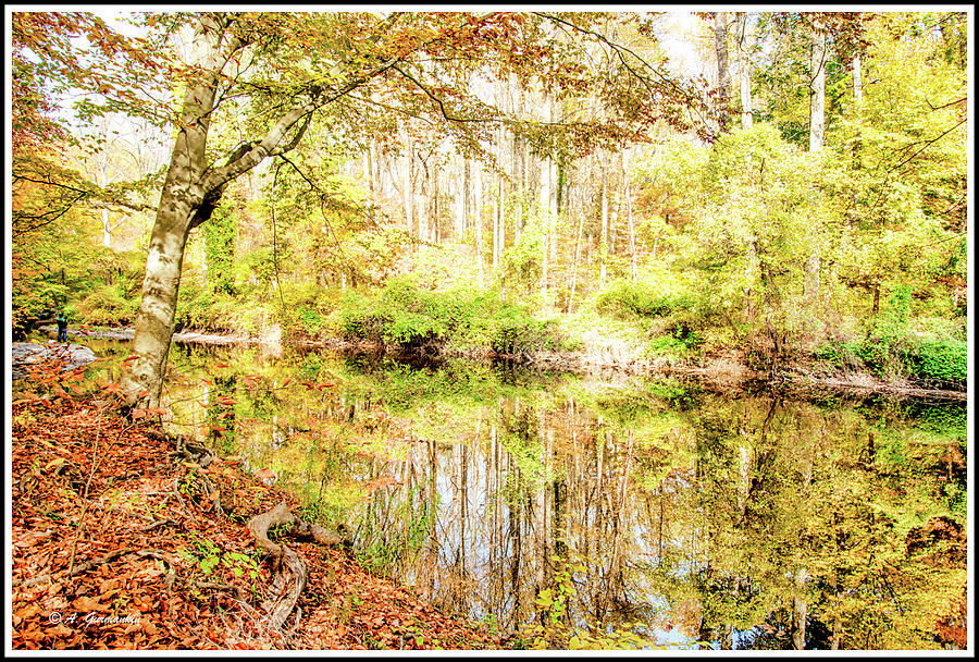 Pennsylvania Stream in Fall #2 Photograph by A Macarthur Gurmankin
