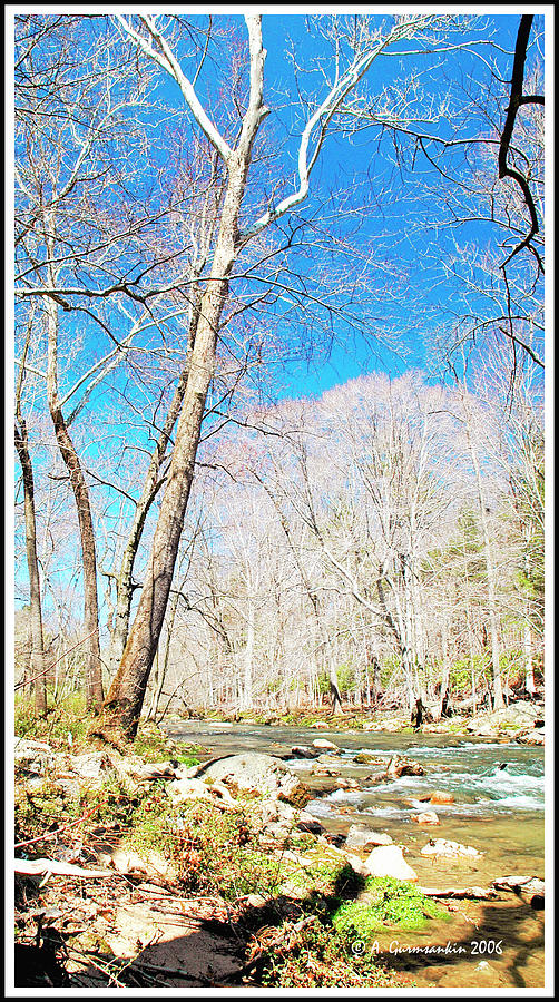 Pennsylvania Stream in Spring #2 Photograph by A Macarthur Gurmankin