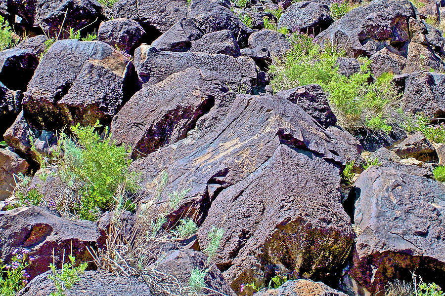 Petroglyphs in Piedras Marcada Canyon in Petroglyph National Monument in Albuquerque, New Mexico #2 Photograph by Ruth Hager